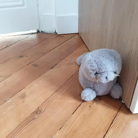 Meuble Tres Cosy A Proximite De Toutes Commodites Apartment Rouen