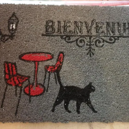 Apartament Meuble Tres Cosy A Proximite De Toutes Commodites *