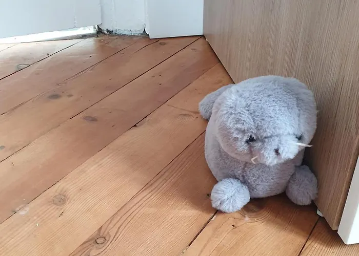 Meuble Tres Cosy A Proximite De Toutes Commodites Apartment Rouen