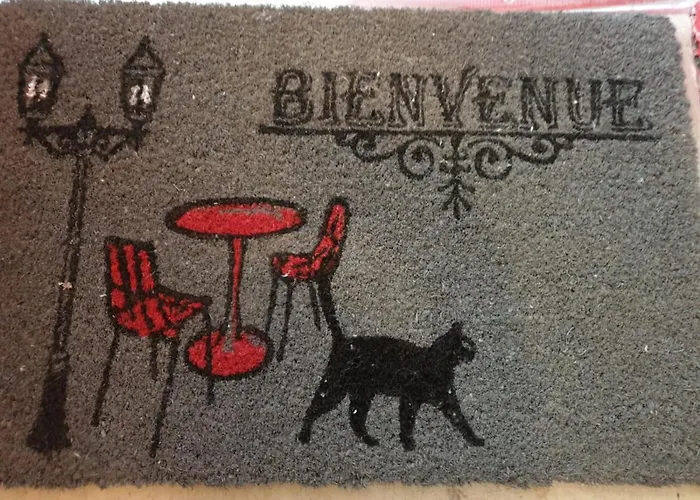 Apartament Meuble Tres Cosy A Proximite De Toutes Commodites *